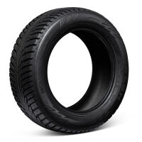 NEXEN WINGUARD WINSPIKE WH62 225/50R17 98T